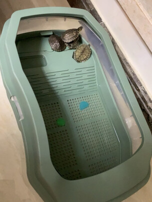 龟粮
