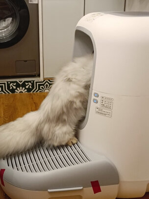 猫砂盆