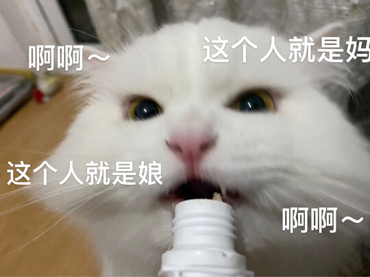 猫冻干