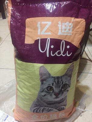 猫窝