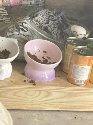 猫碗狗碗