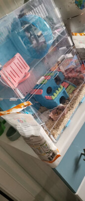 仓鼠浴沙