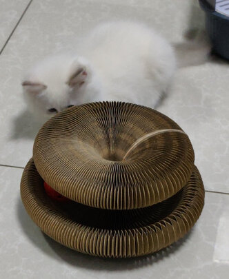 猫玩具