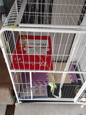  猫笼