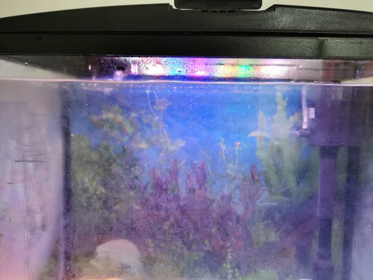 鱼缸灯led灯