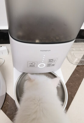 猫碗狗碗