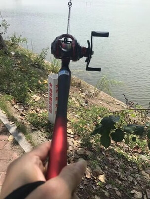 路亚竿