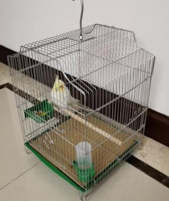 鸟笼