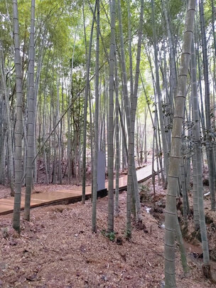 冲锋衣