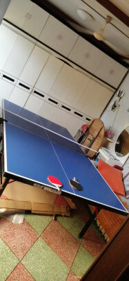 乒乓球桌(乒乓球桌尺寸是多少厘米)