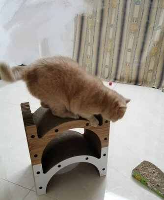 猫抓板