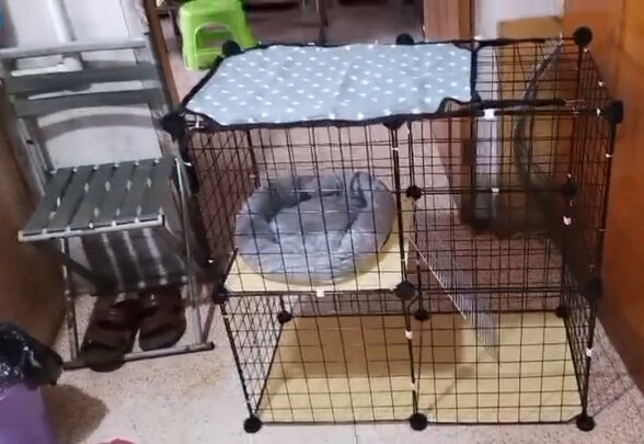  猫笼