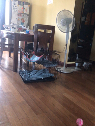 猫笼