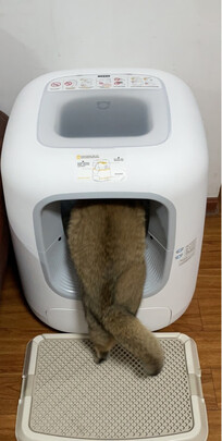 猫砂盆