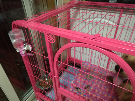 宠物水壶