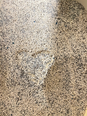 膨润土猫砂