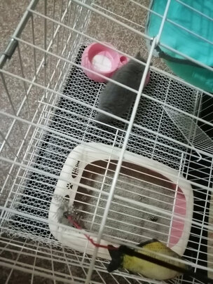 猫笼