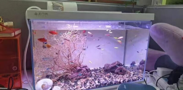 智能鱼缸