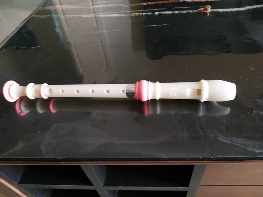乐器竖笛