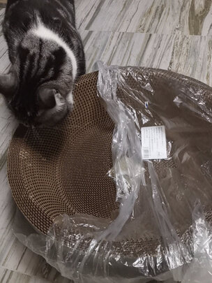猫抓板