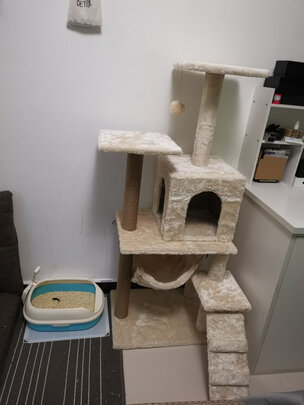 猫爬架