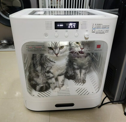  宠物烘干箱