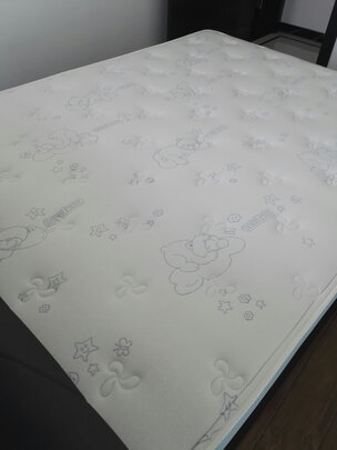 金可儿床垫好吗？为什么这么贵？