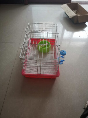 兔笼子