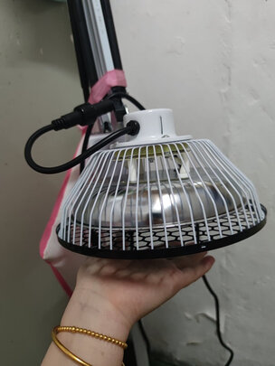 TDP烤灯