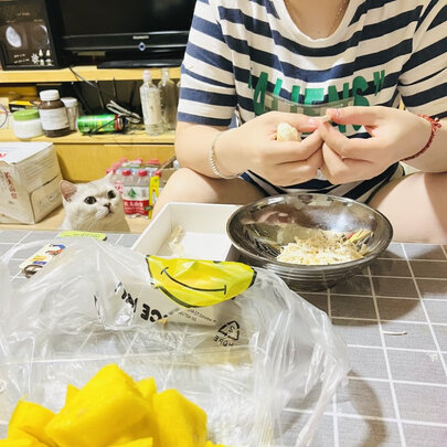猫冻干