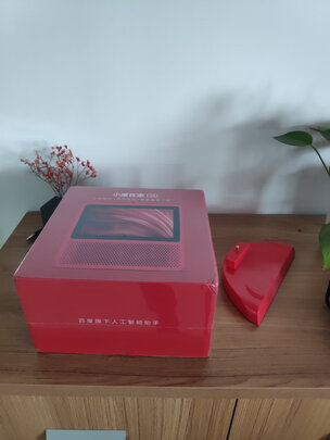 小度小度在家1S（前车之鉴）有必要告诉大家真相