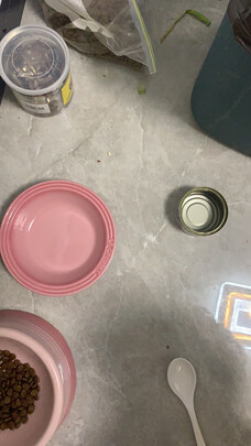 猫罐头