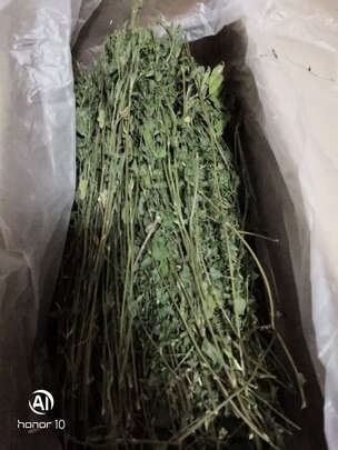 兔粮苜蓿草
