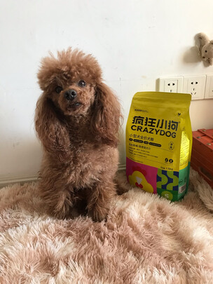 狗粮