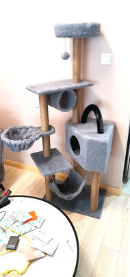 猫爬架