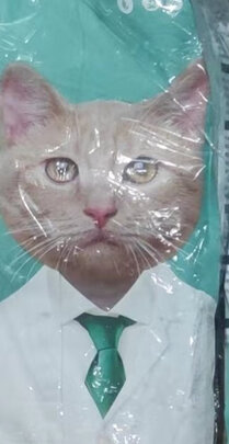 猫粮