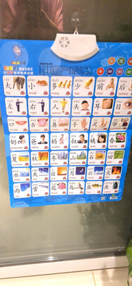 乐乐鱼5张组合套装 人物篇、动物篇、拼音篇、蔬菜水果篇、认数字篇质量诉说体验后讲一讲感受