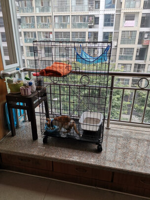 猫笼