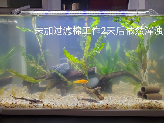 鱼缸水族箱
