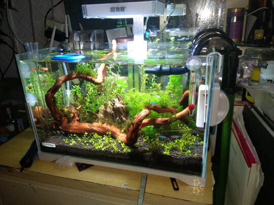 水草泥