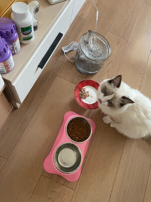 猫粮罐头