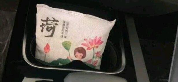 汽车竹炭包