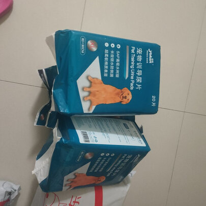 宠物纸尿裤