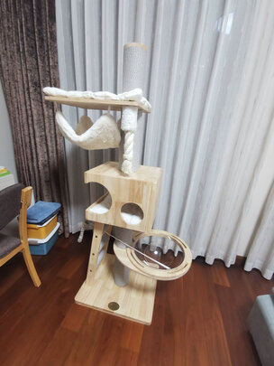 猫爬架