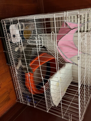  猫笼
