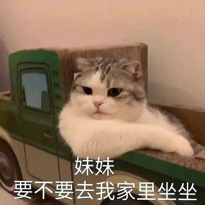 狗狗除臭剂