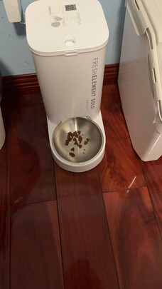 猫碗狗碗