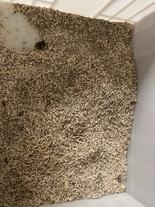 膨润土猫砂