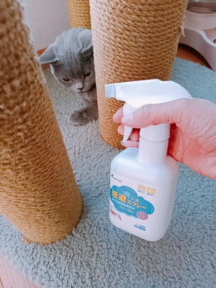 驱猫喷雾