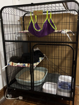  猫笼